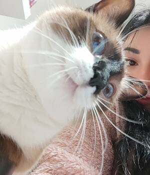 Valeria