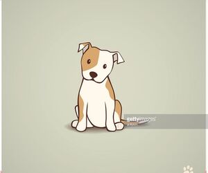 Robert