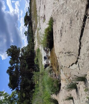 Vidazo