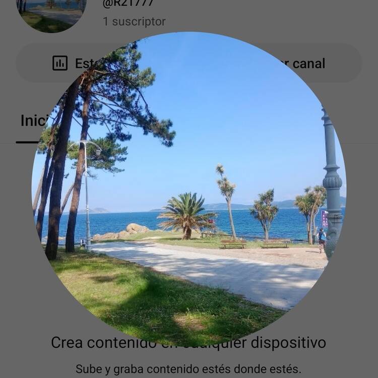 Foto de perfil de Amor
