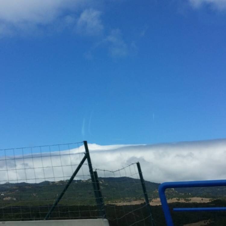 Foto de perfil de maria