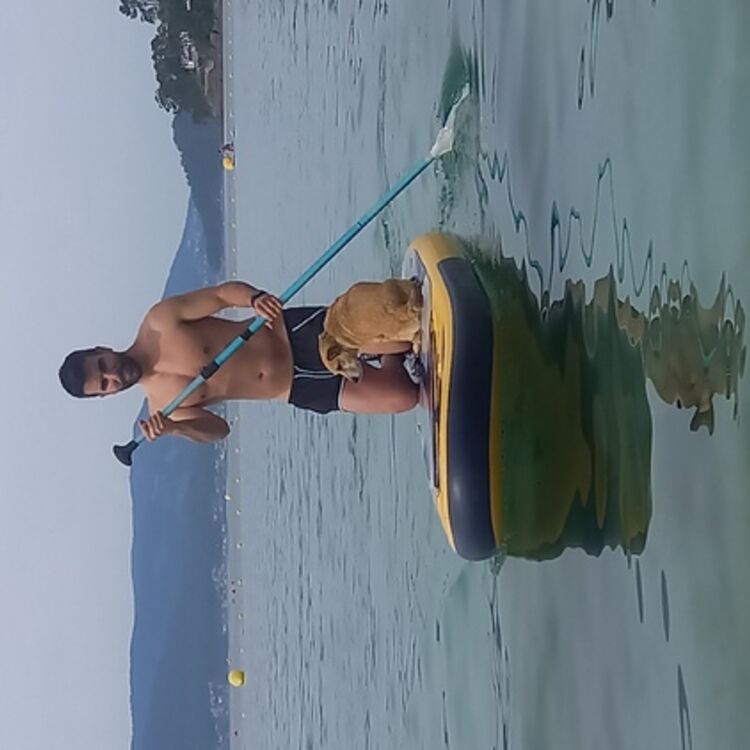 Foto de perfil de DAVID