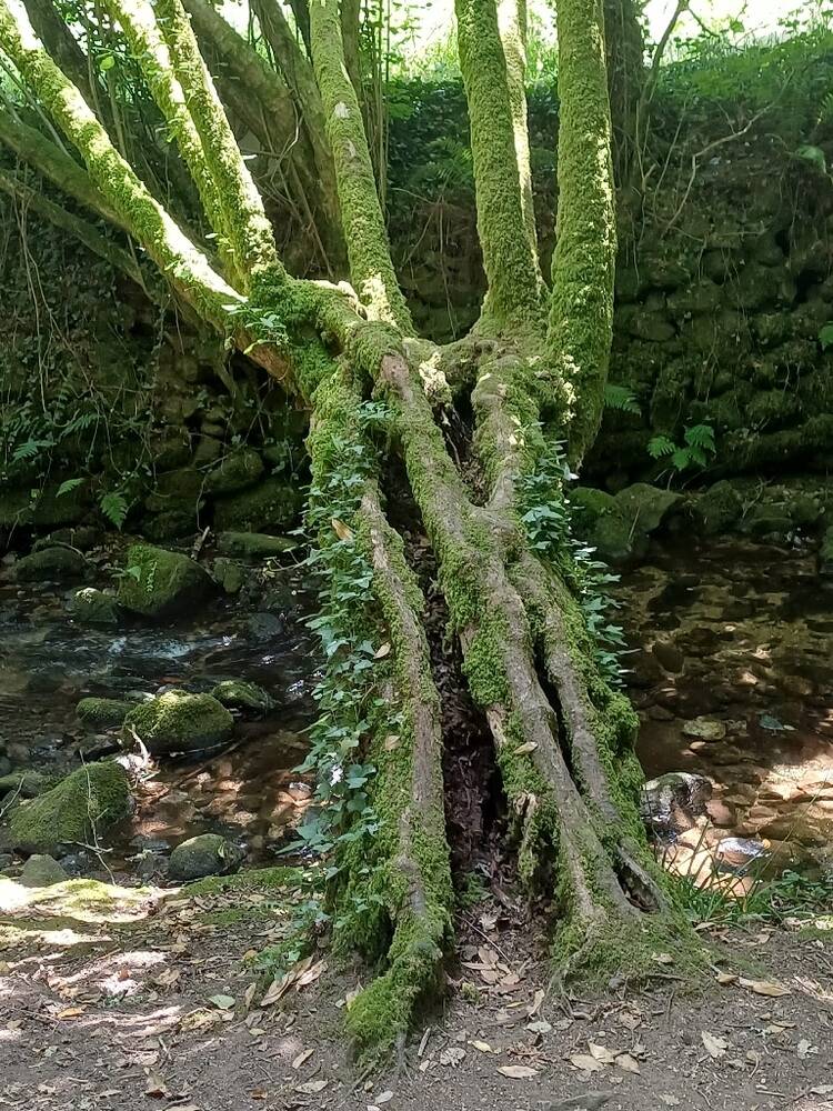 Foto de perfil de Manoli