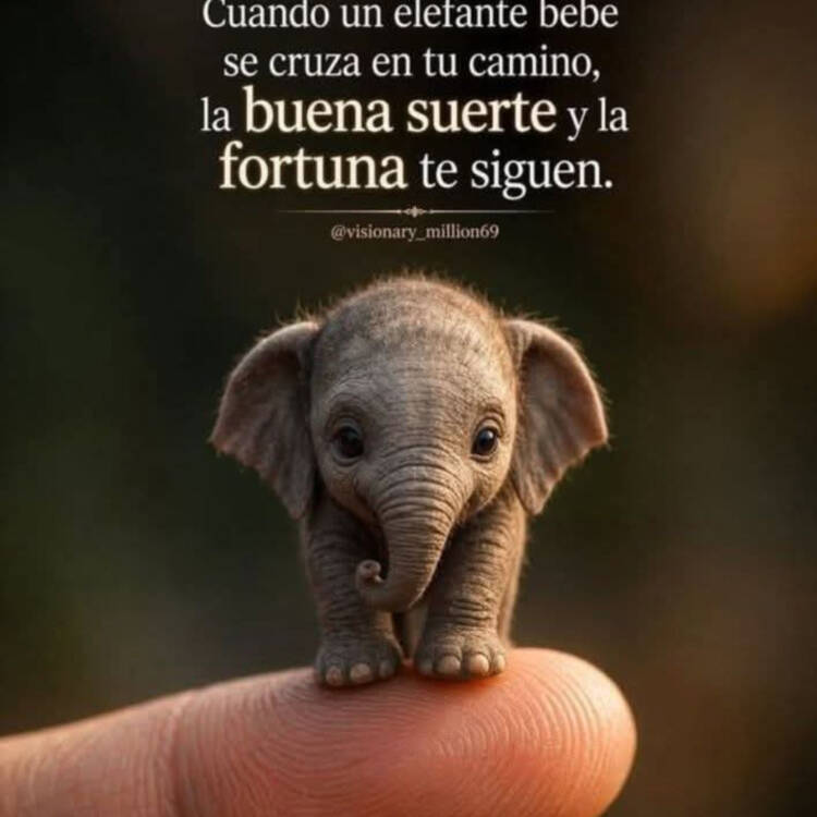 Foto de perfil de Sara