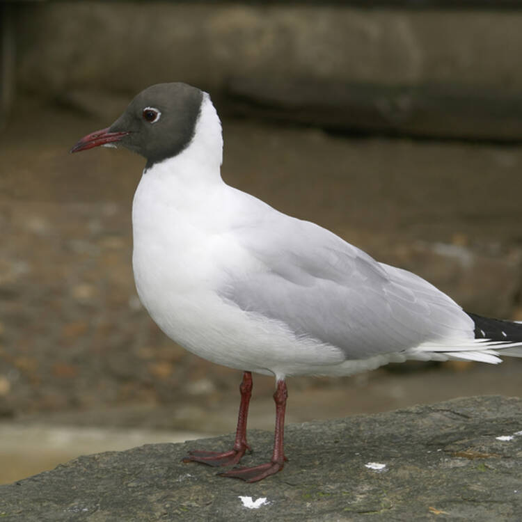 Foto de perfil de Fabio
