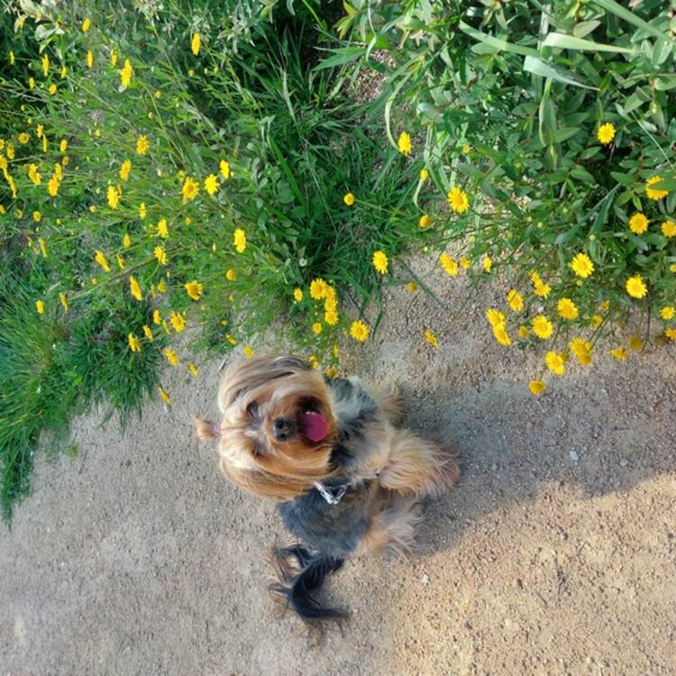 Foto de perfil de Maica