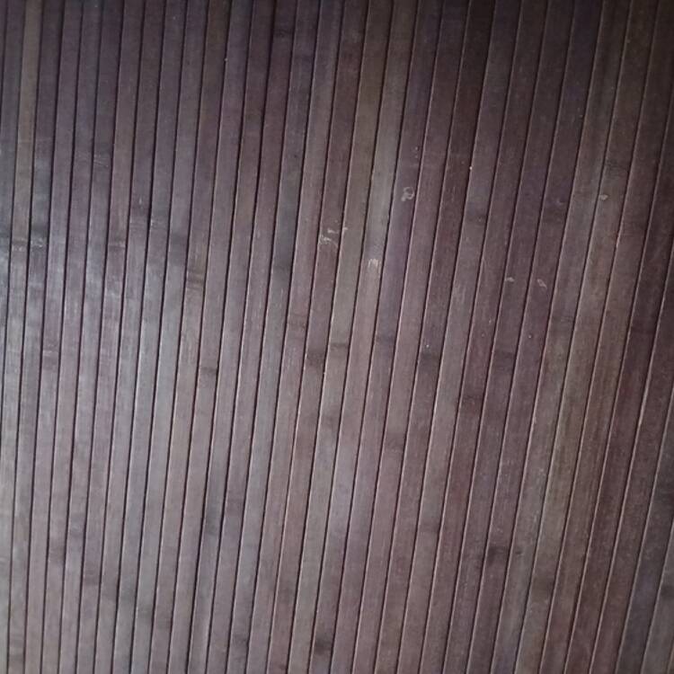 Foto de perfil de Susi