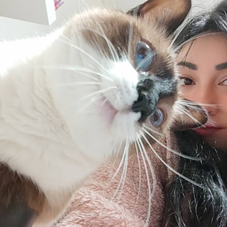 Foto de perfil de Valeria