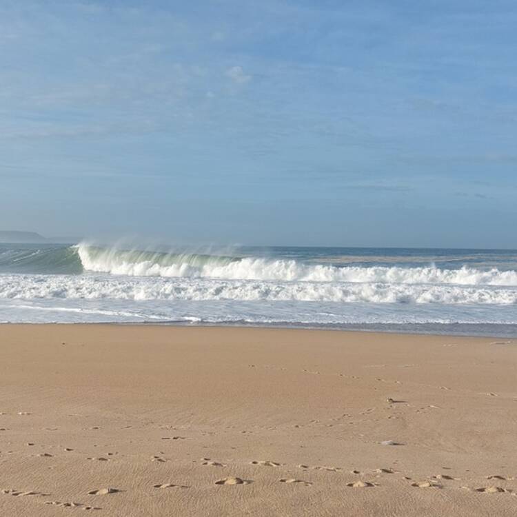 Foto de perfil de Maria