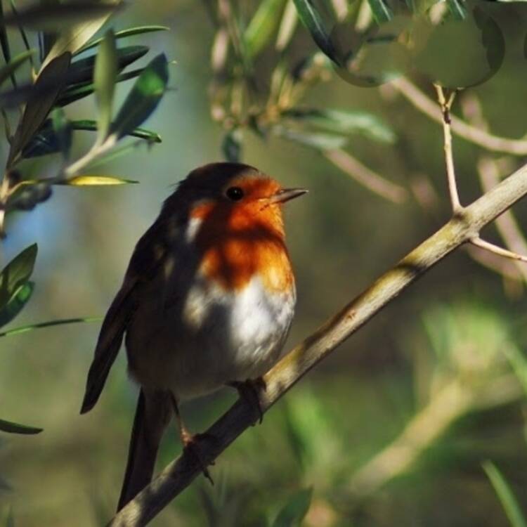 Foto de perfil de FERNANDO