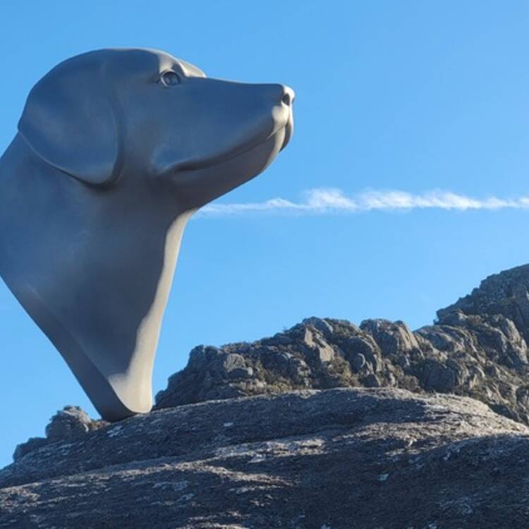 Foto de perfil de Alejandro